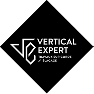 Vertical Expert